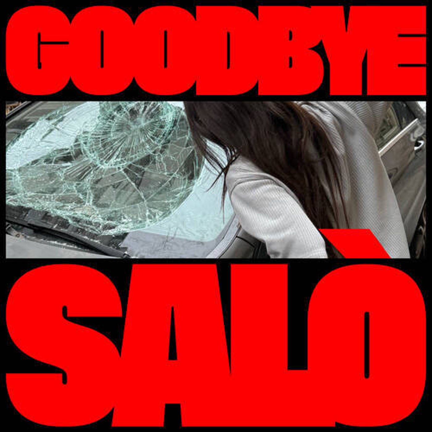 GOODBYE SALÒ (Extended Versions)