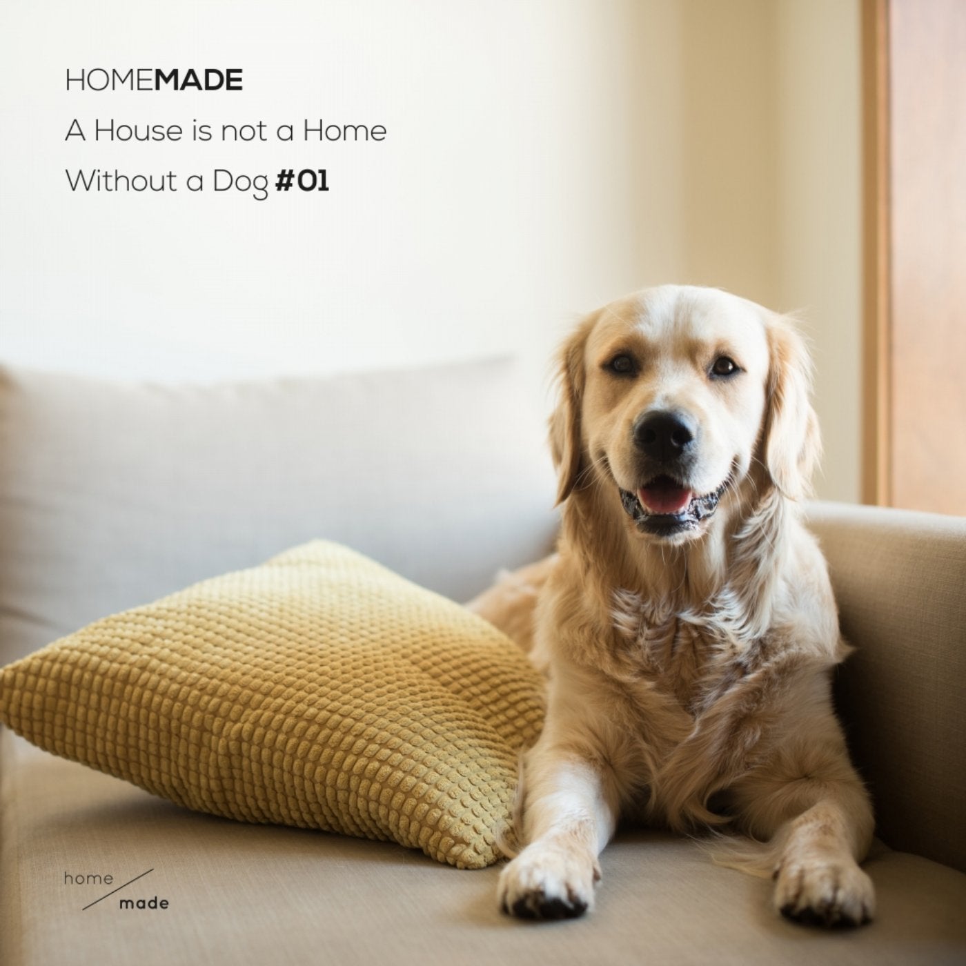 A House Is Not A Home Without A Dog #01