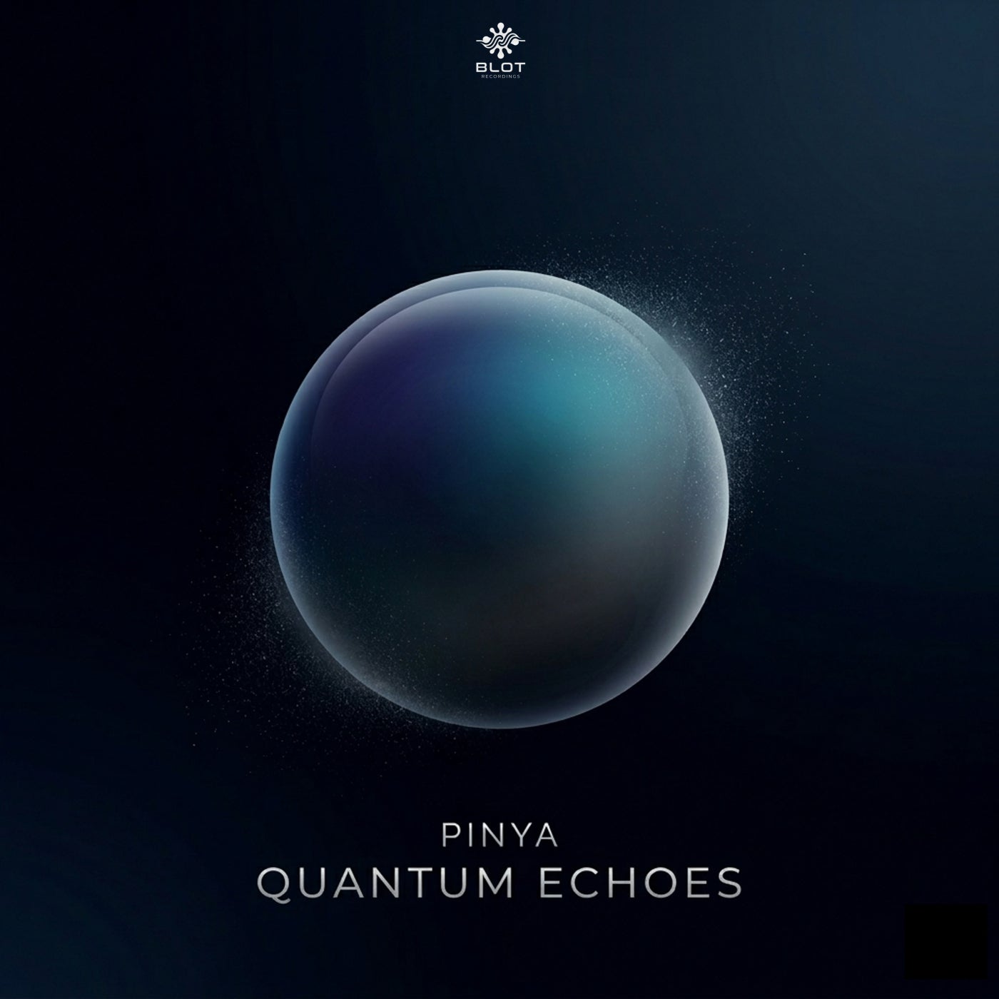 Quantum Echoes