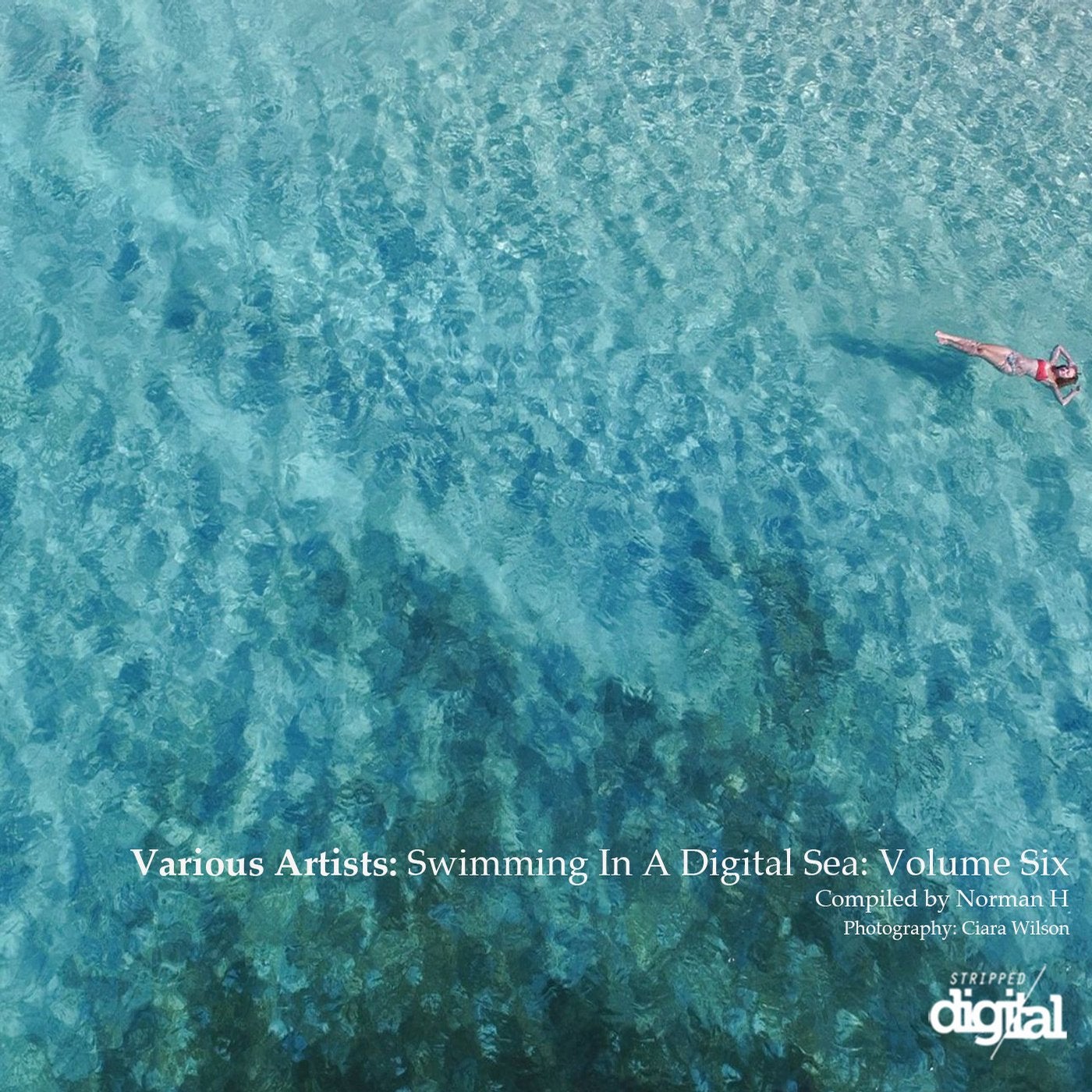 Swimming in a Digital Sea: Volume Six - Compiled by Norman H