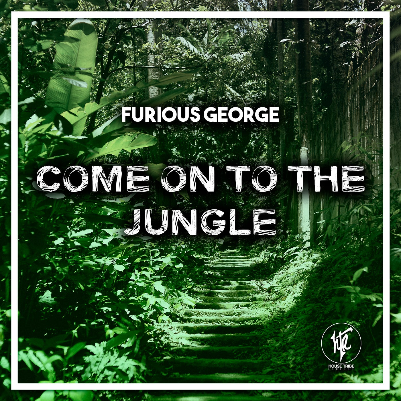 Come On To The Jungle