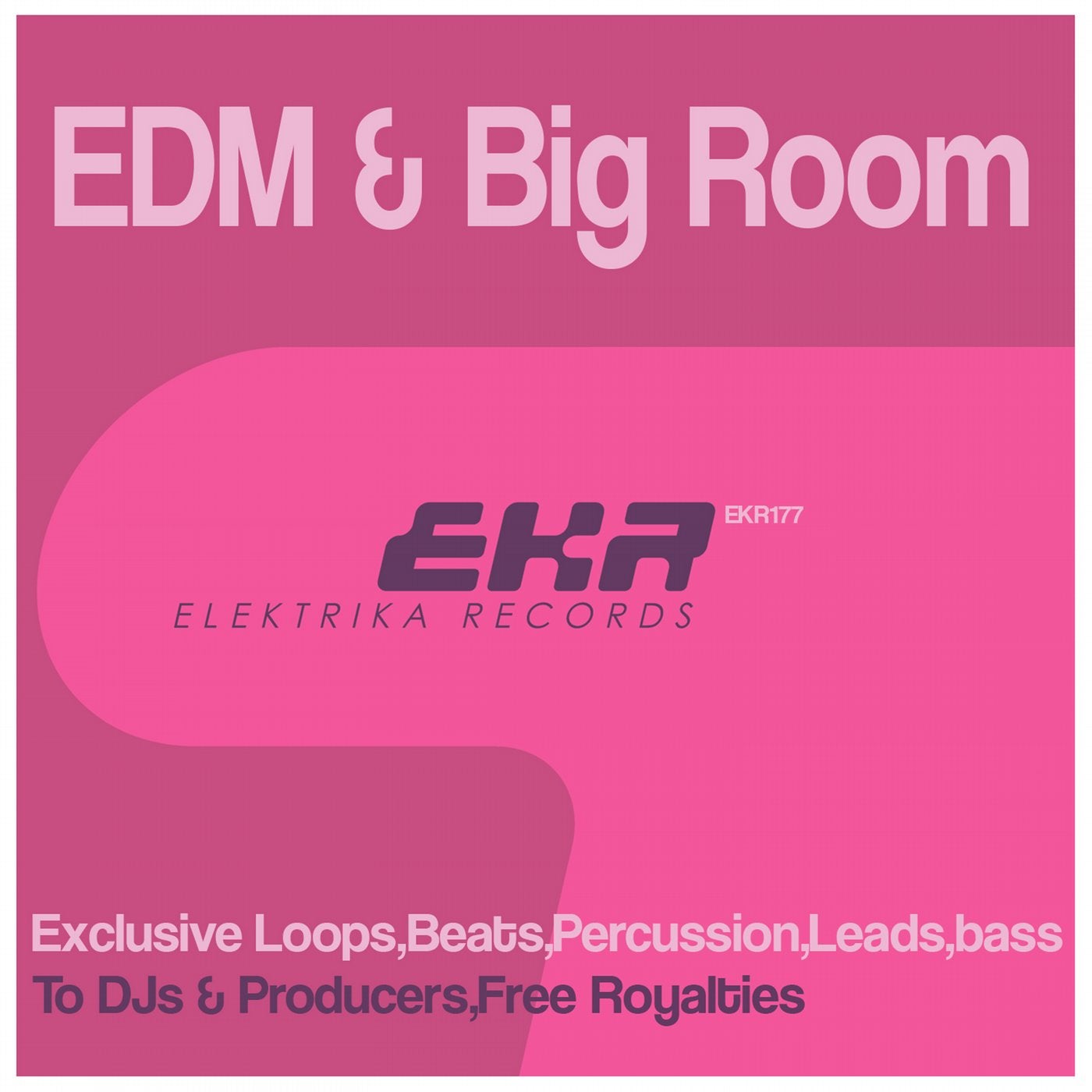 EDM & Big Room Loops