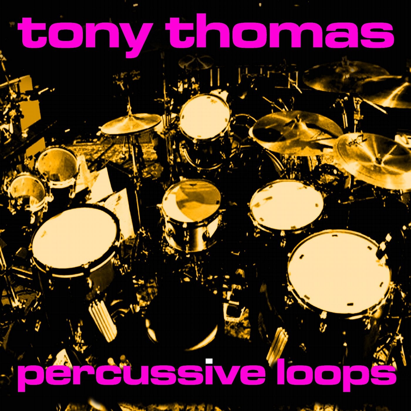 Tony Thomas Percussive Loops Vol 14