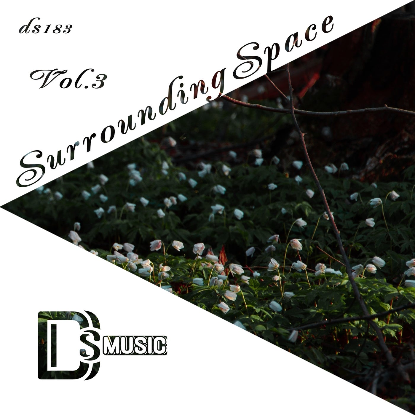 Surrounding Space, Vol. 3