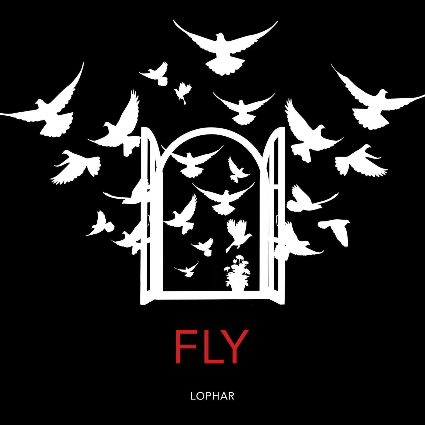 Fly