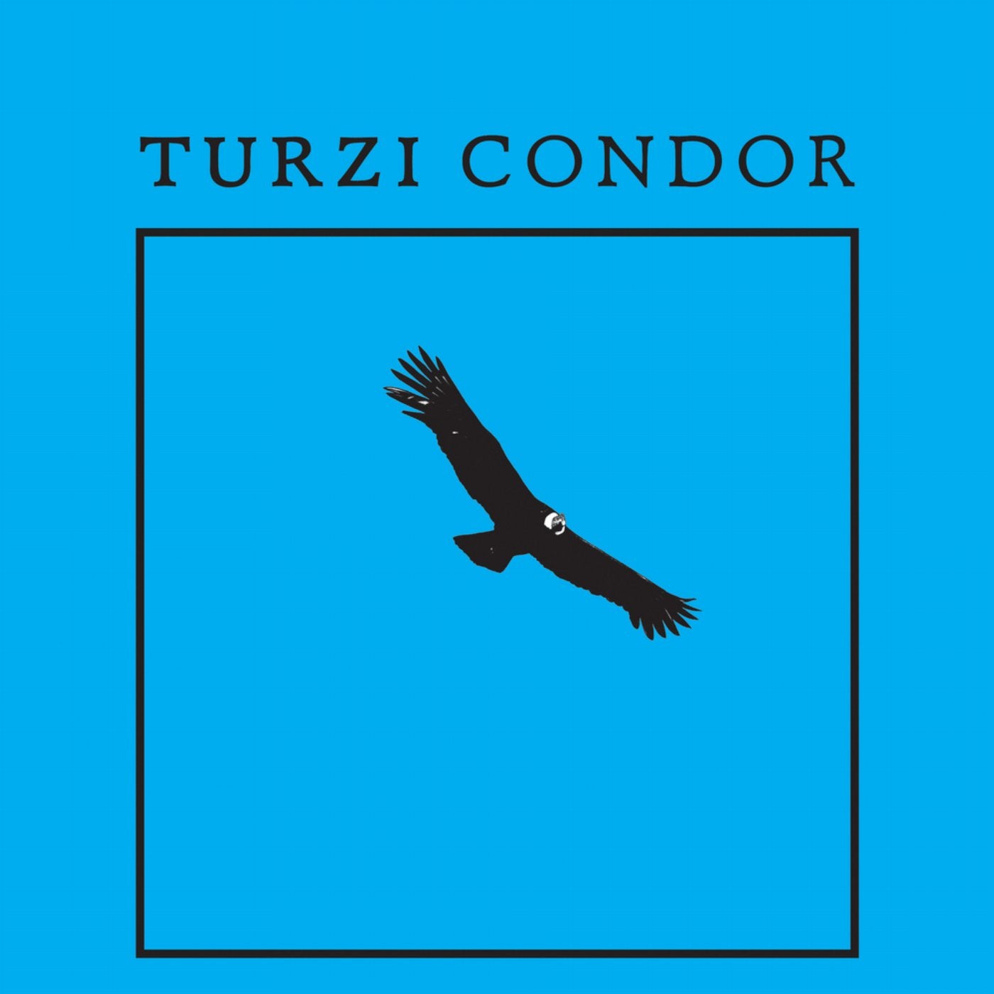 Condor - EP