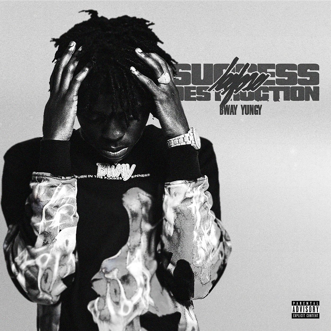 Cover art for Success Before Destruction