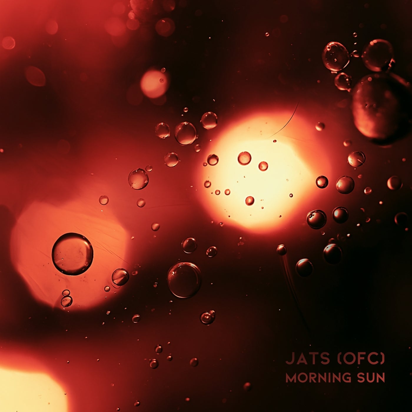 Morning Sun