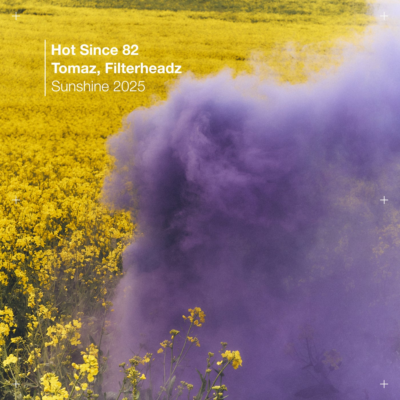 Tomaz, Filterheadz, Hot Since 82 – Sunshine 2025 [Knee Deep In Sound]