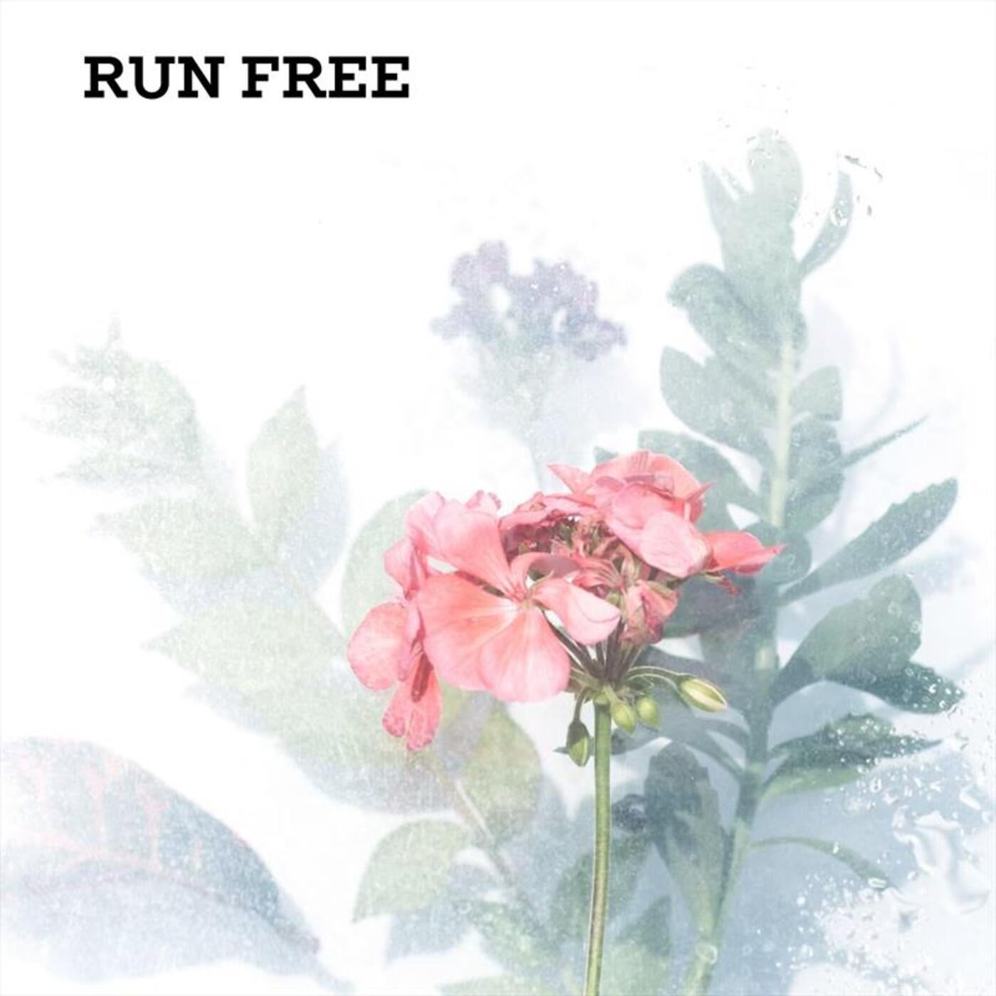 Run Free