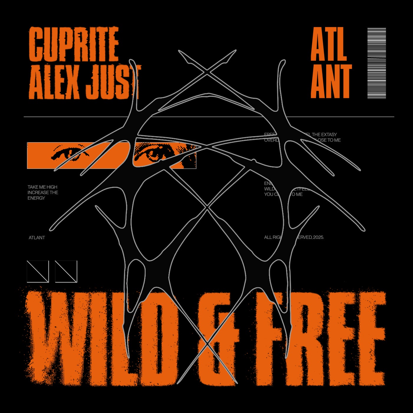 Wild and Free