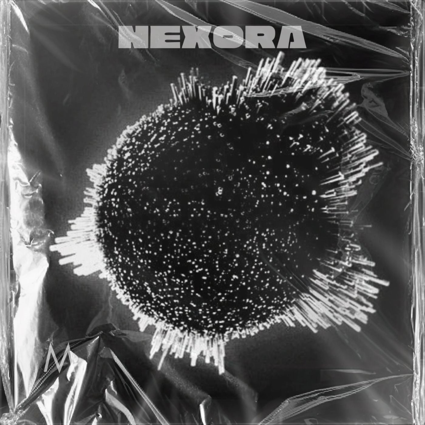Nexora