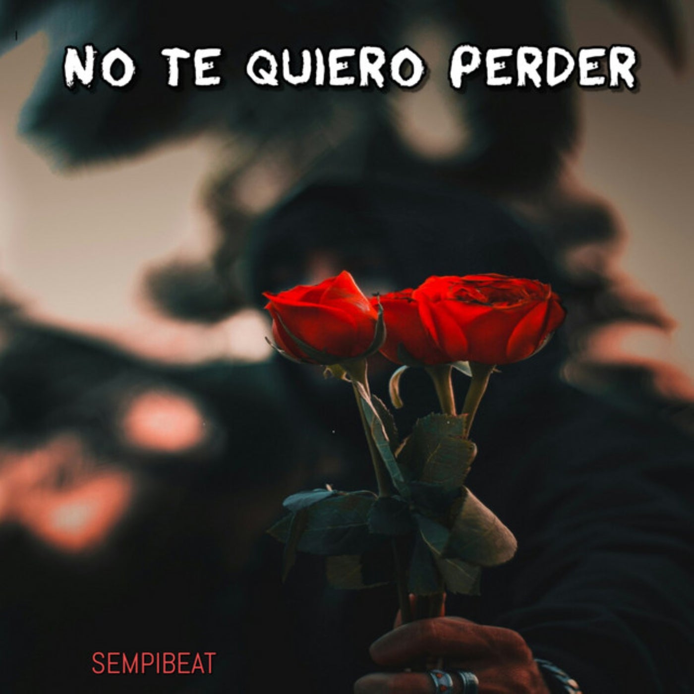 No Te Quiero Perder