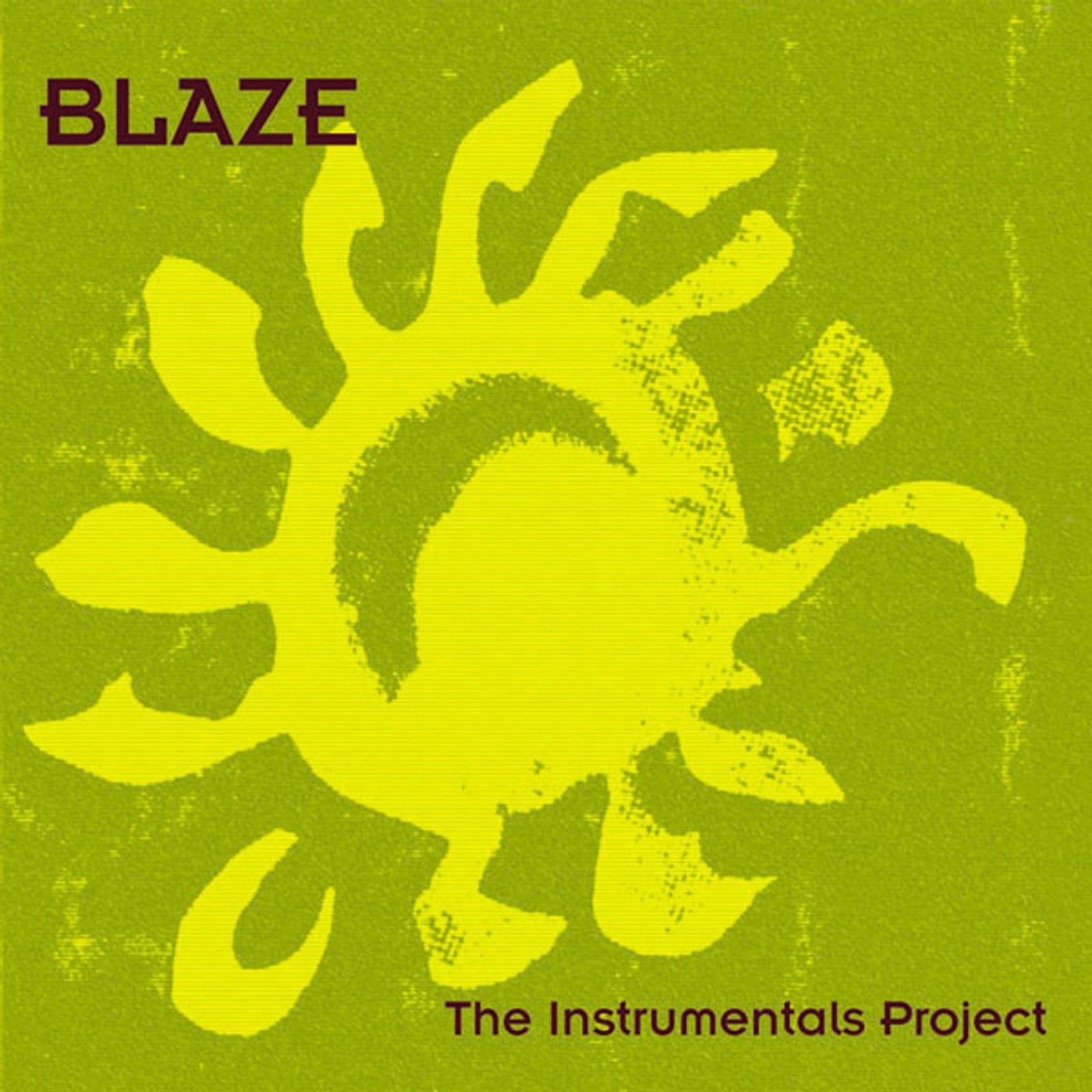 The Instrumentals Project