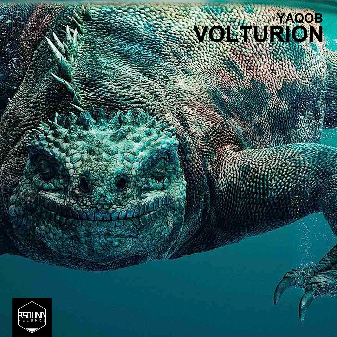 Volturion