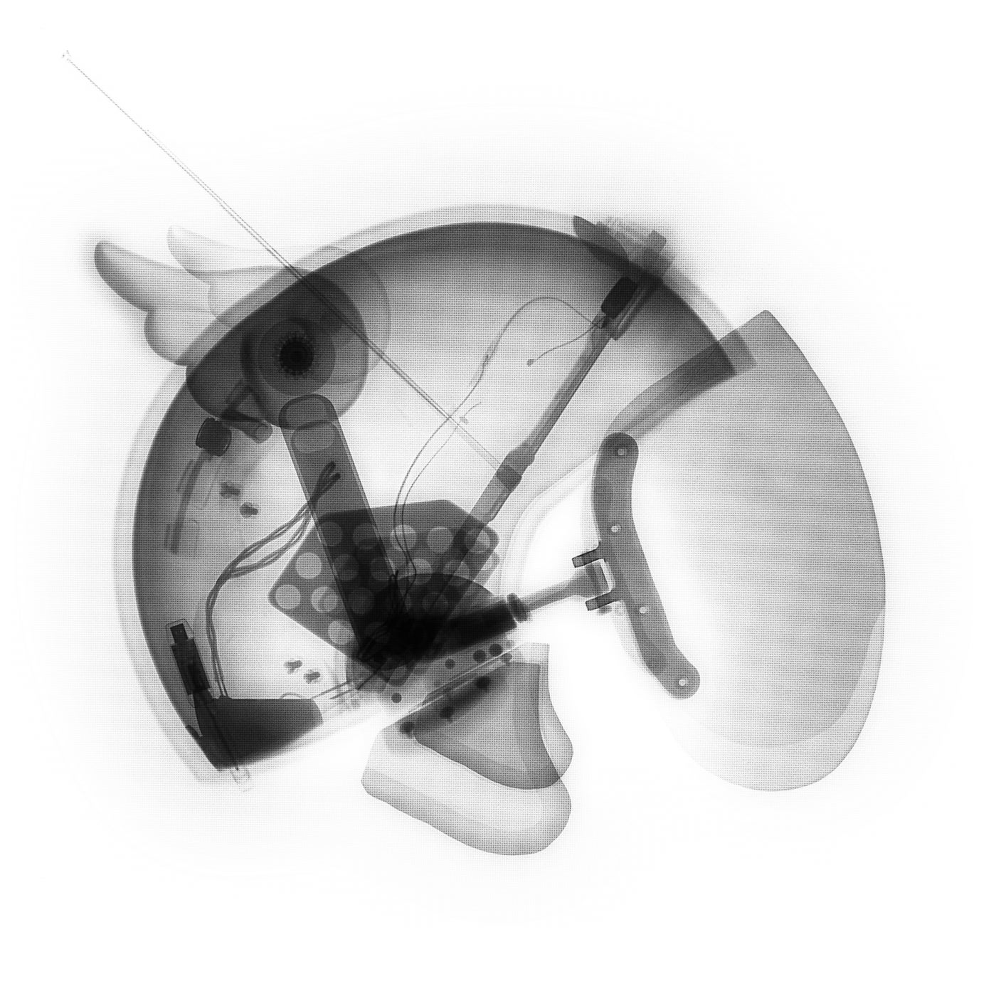 Cover art for Lick The Lens – Pt.1