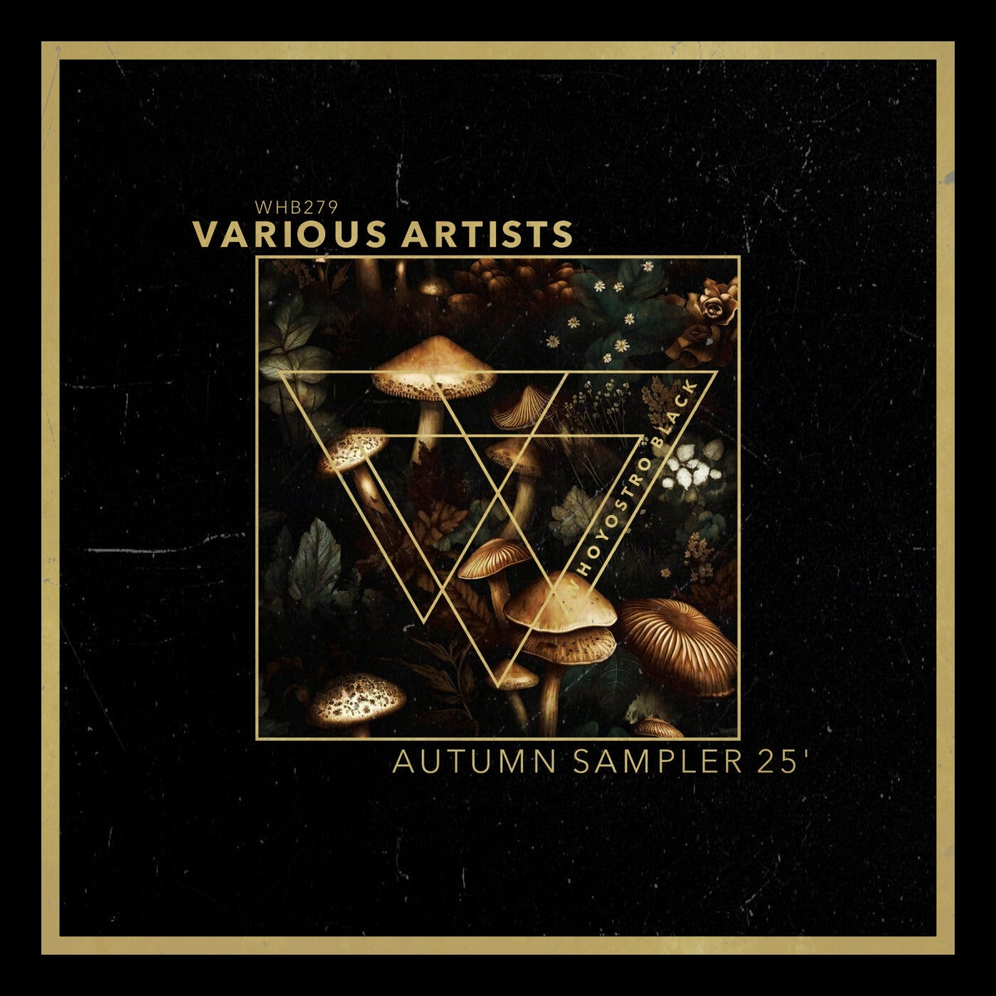 Autumn Sampler 25'