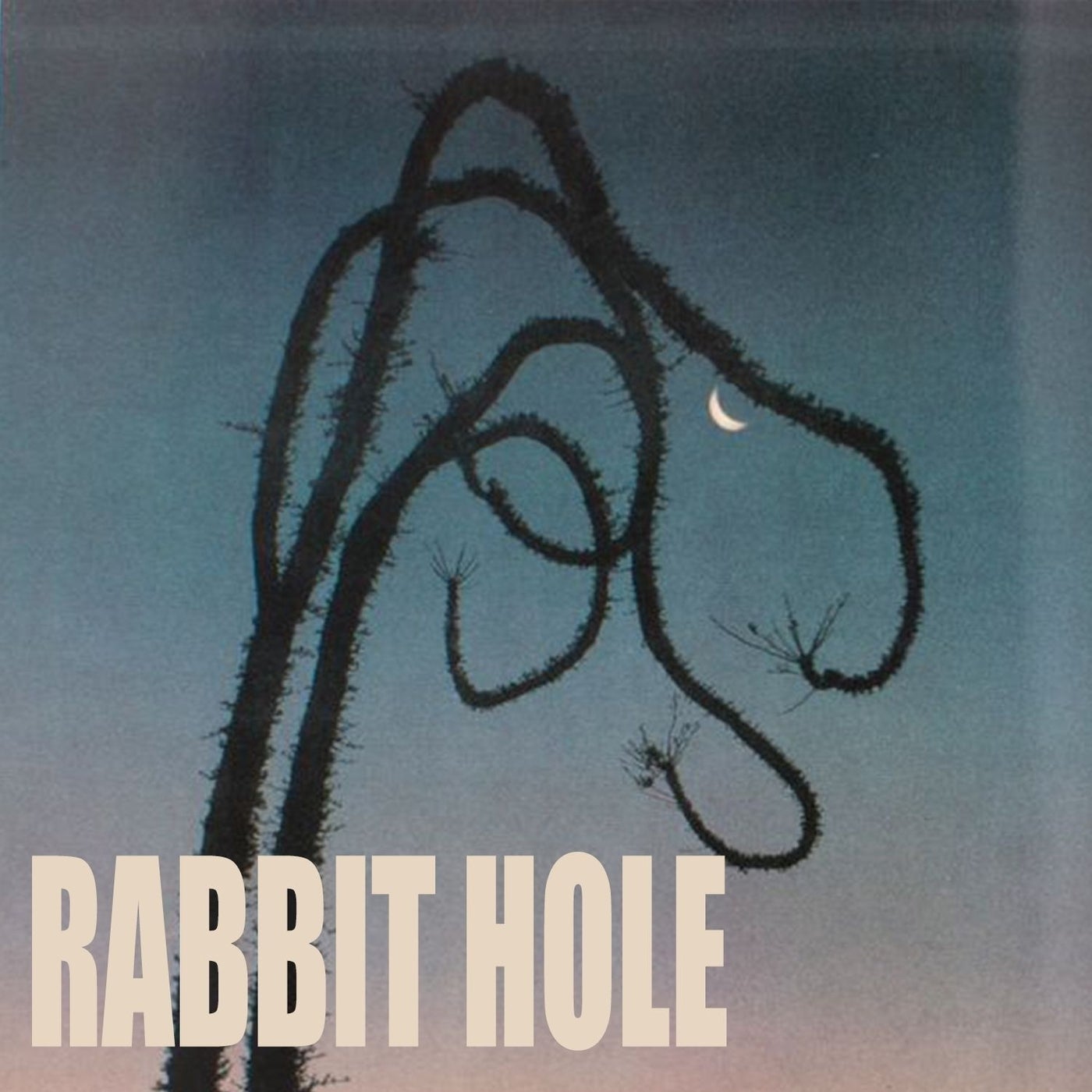 Rabbit Hole