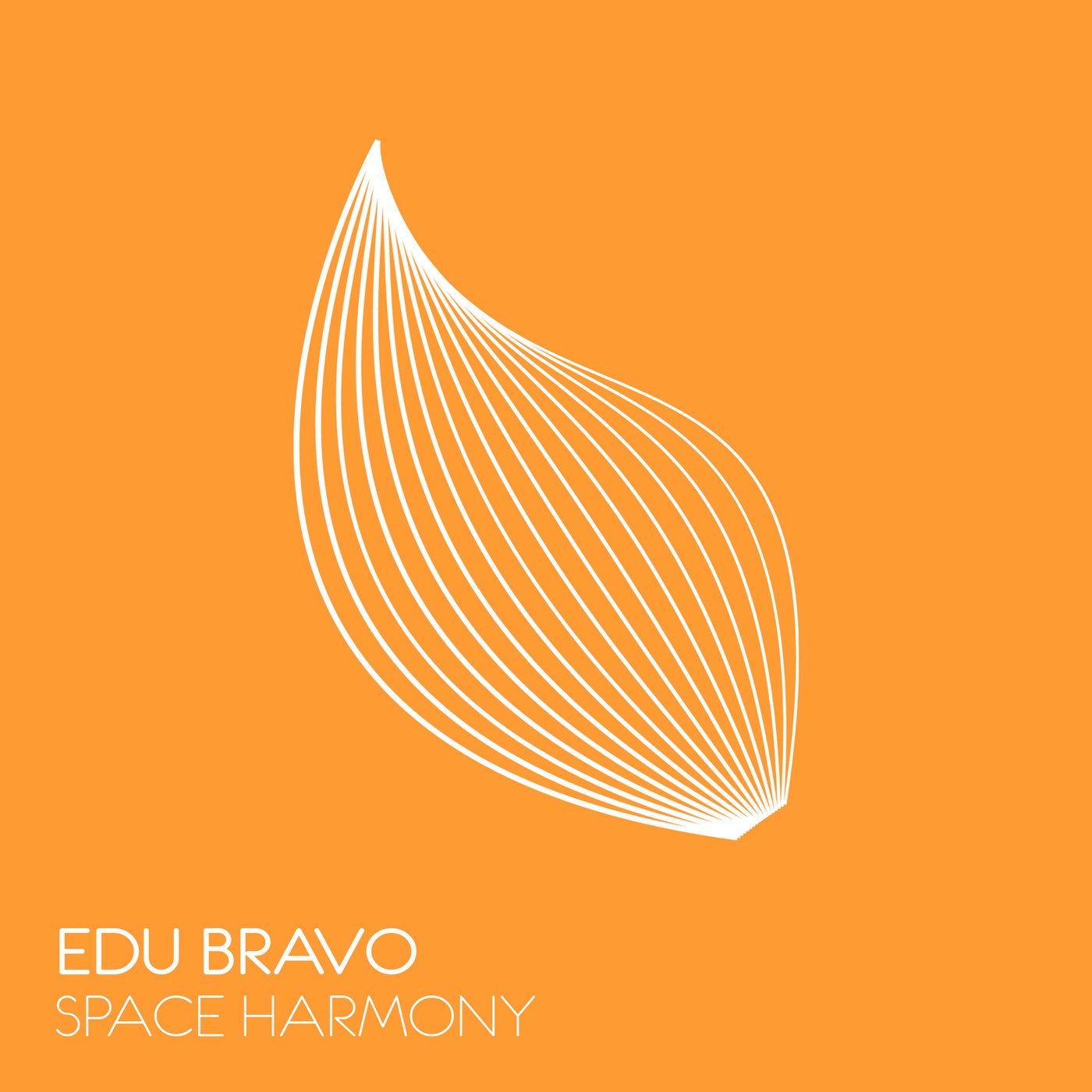 Space Harmony