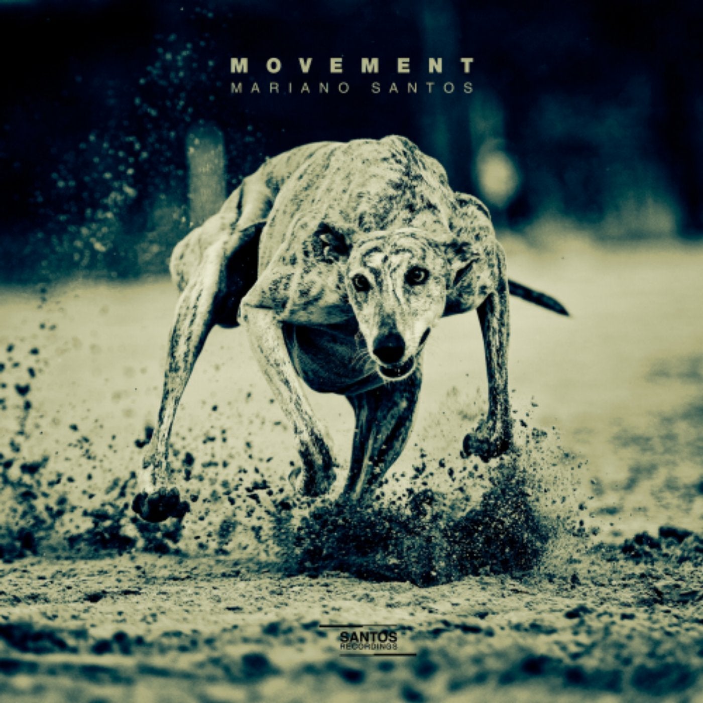 Movement