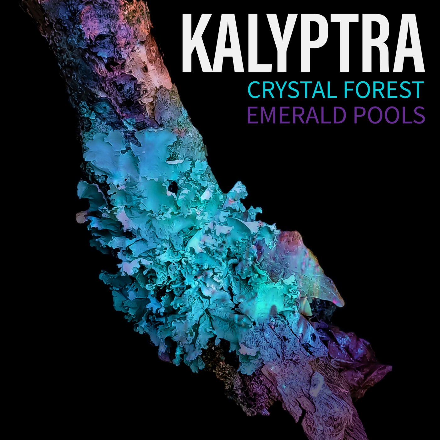 Crystal Forest