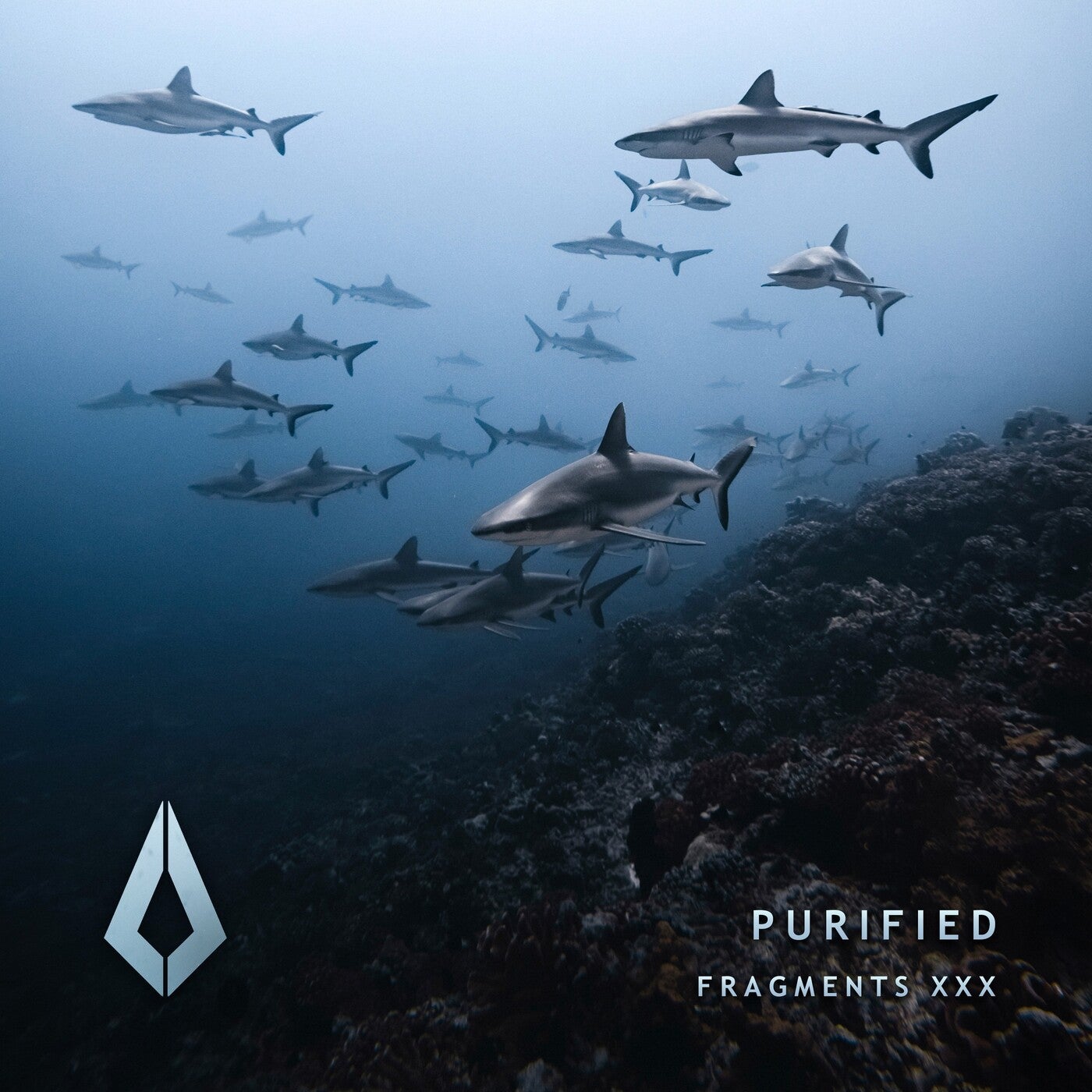 Purified Fragments XXX