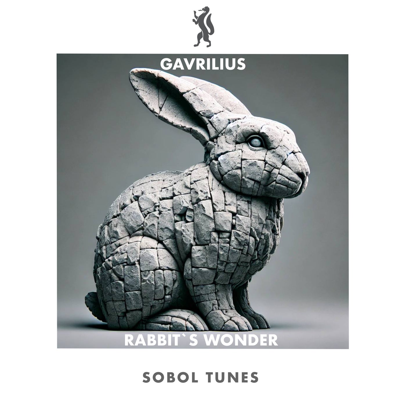 Rabbit´s Wonder