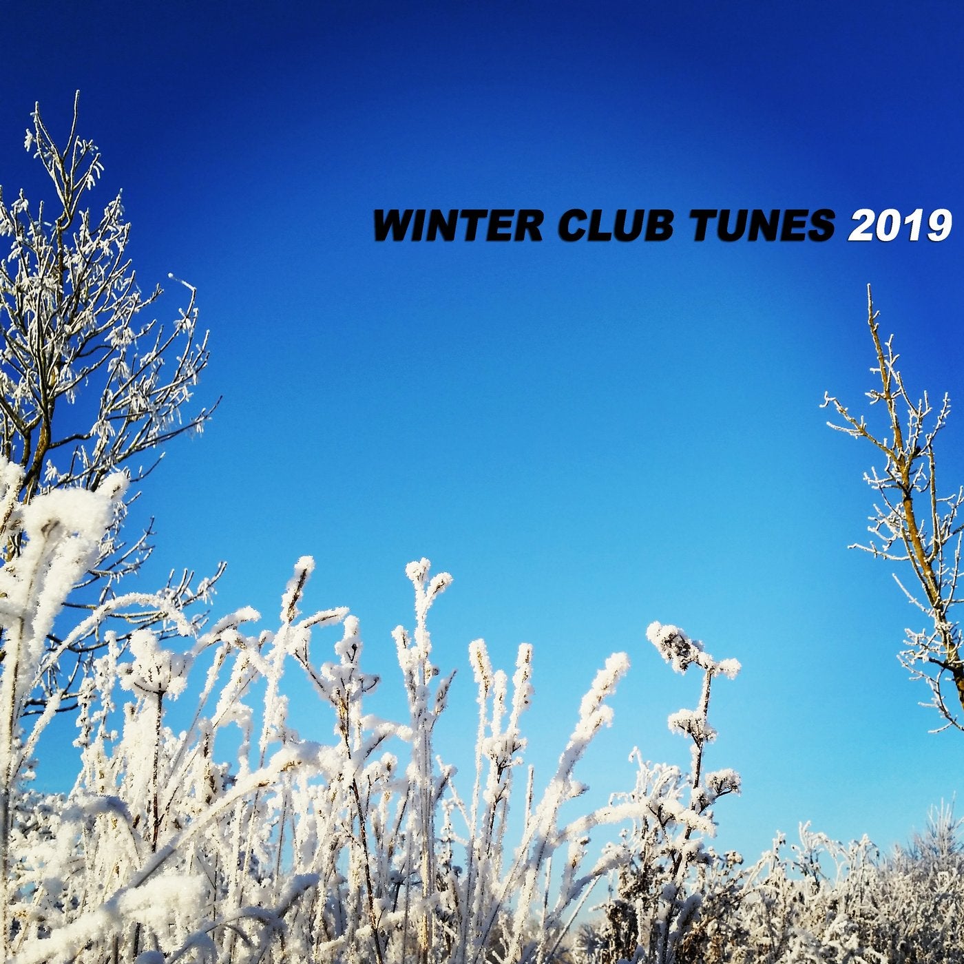 Зима ремикс. Tunes of the Winter. Winter Music 2019. Музыка зимы 2019.