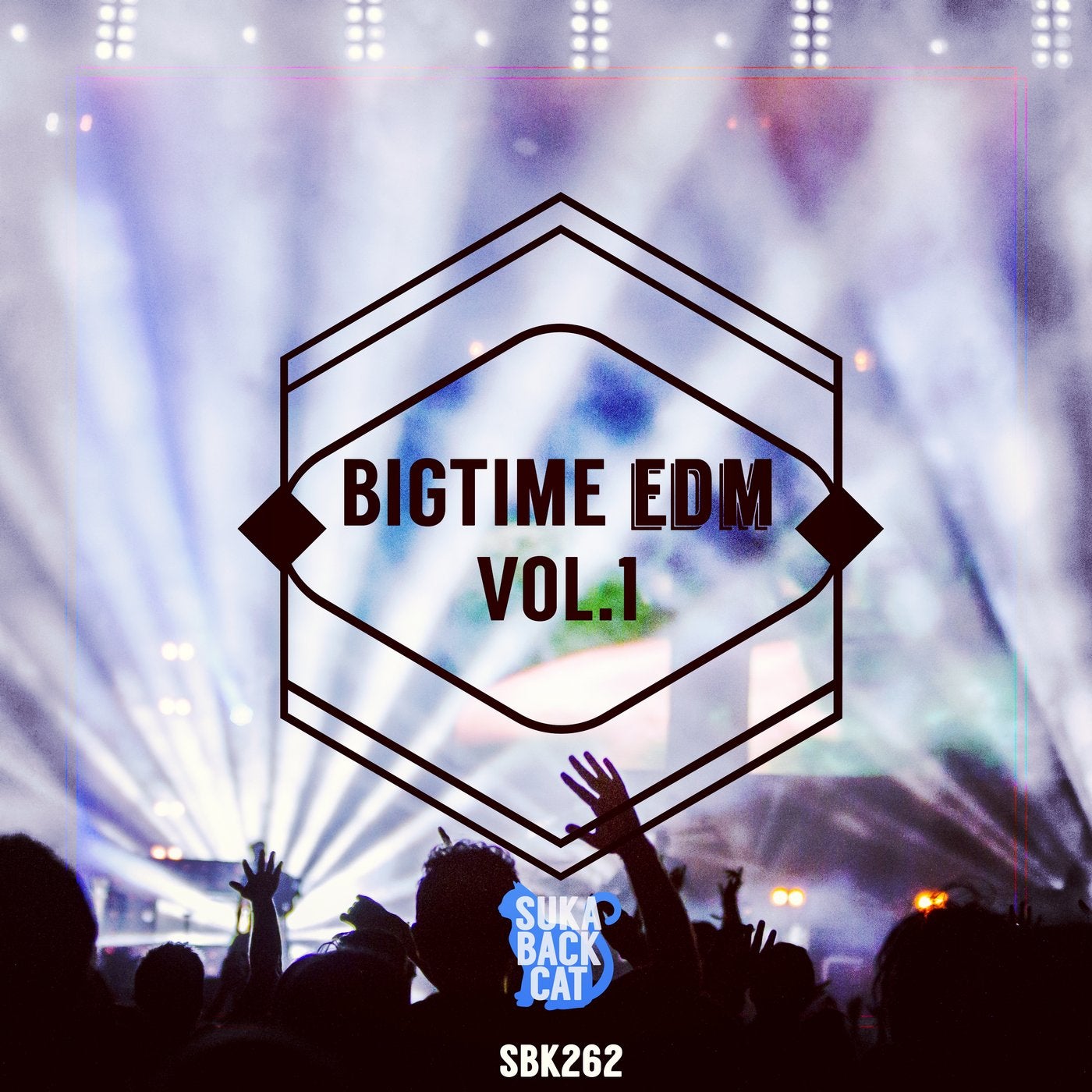 Bigtime EDM, Vol. 1