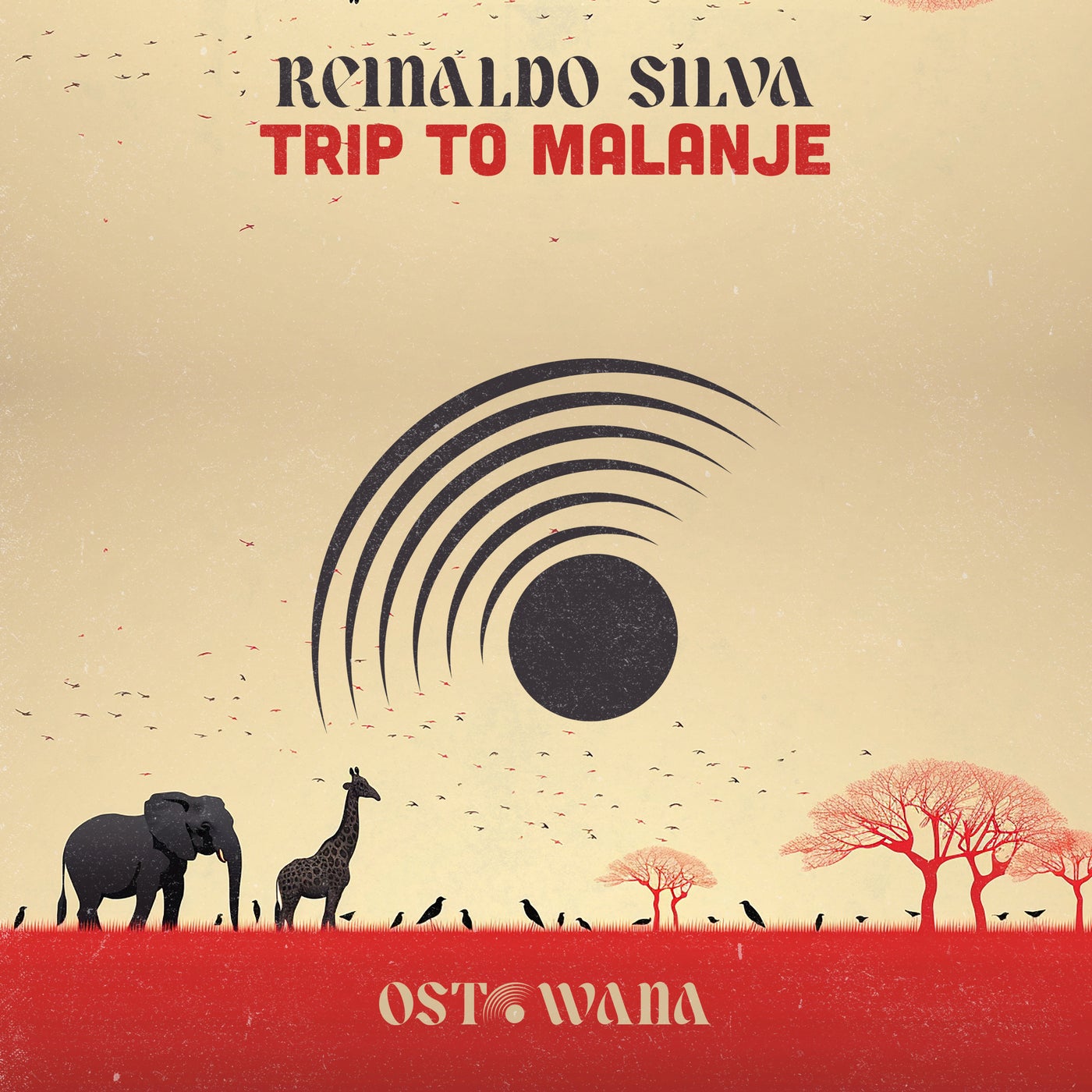 Tripe To Malanje