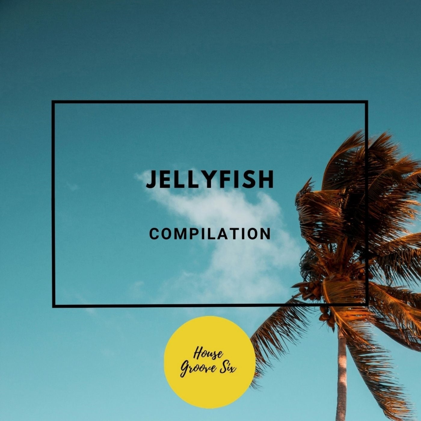 Jellyfish