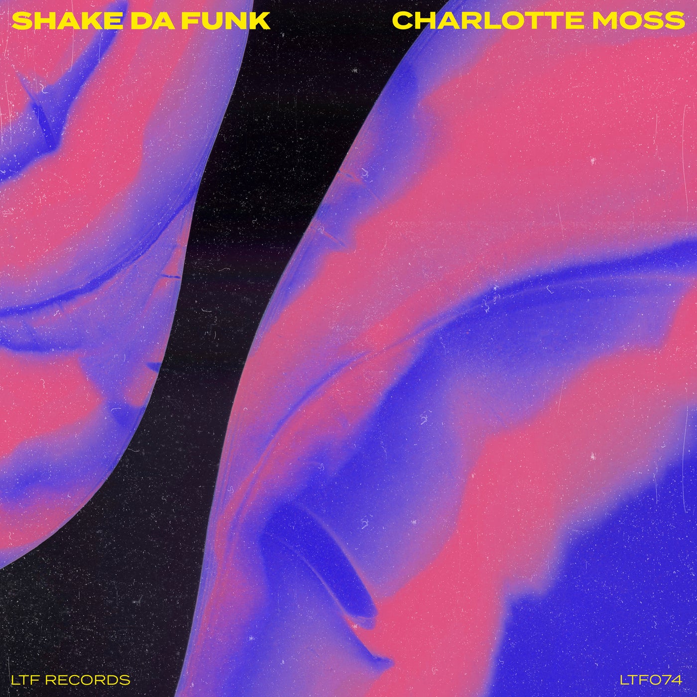Cover art for Shake Da Funk