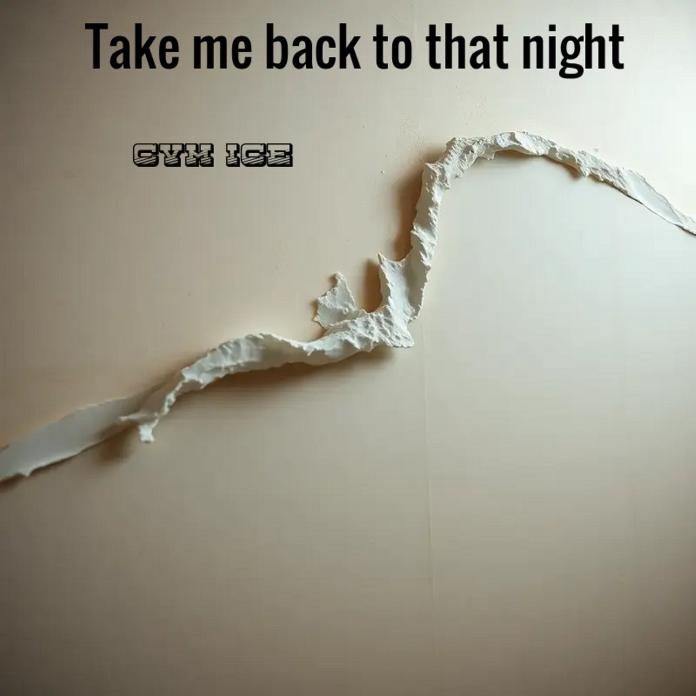 Take Me Back to That Night