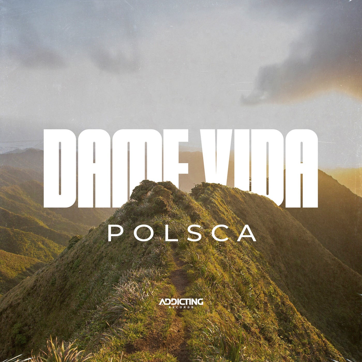 Dame Vida (Extended Mix)