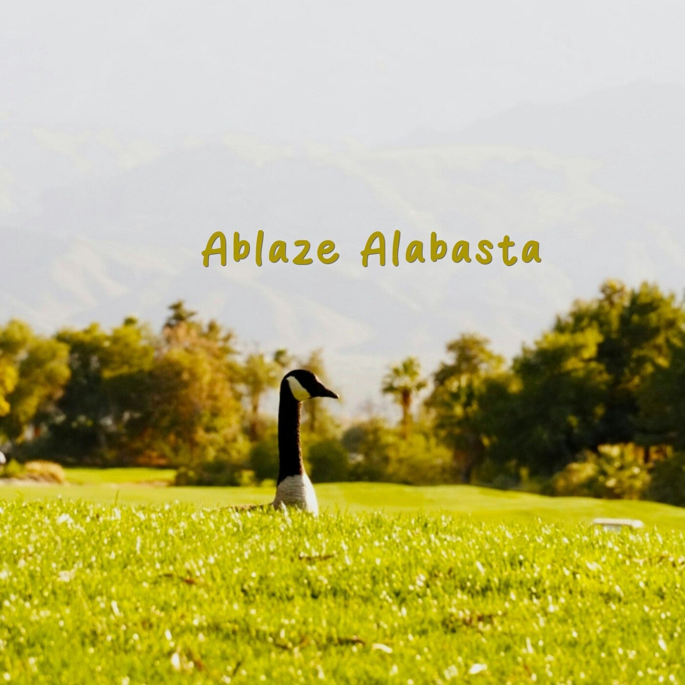 Ablaze Alabasta