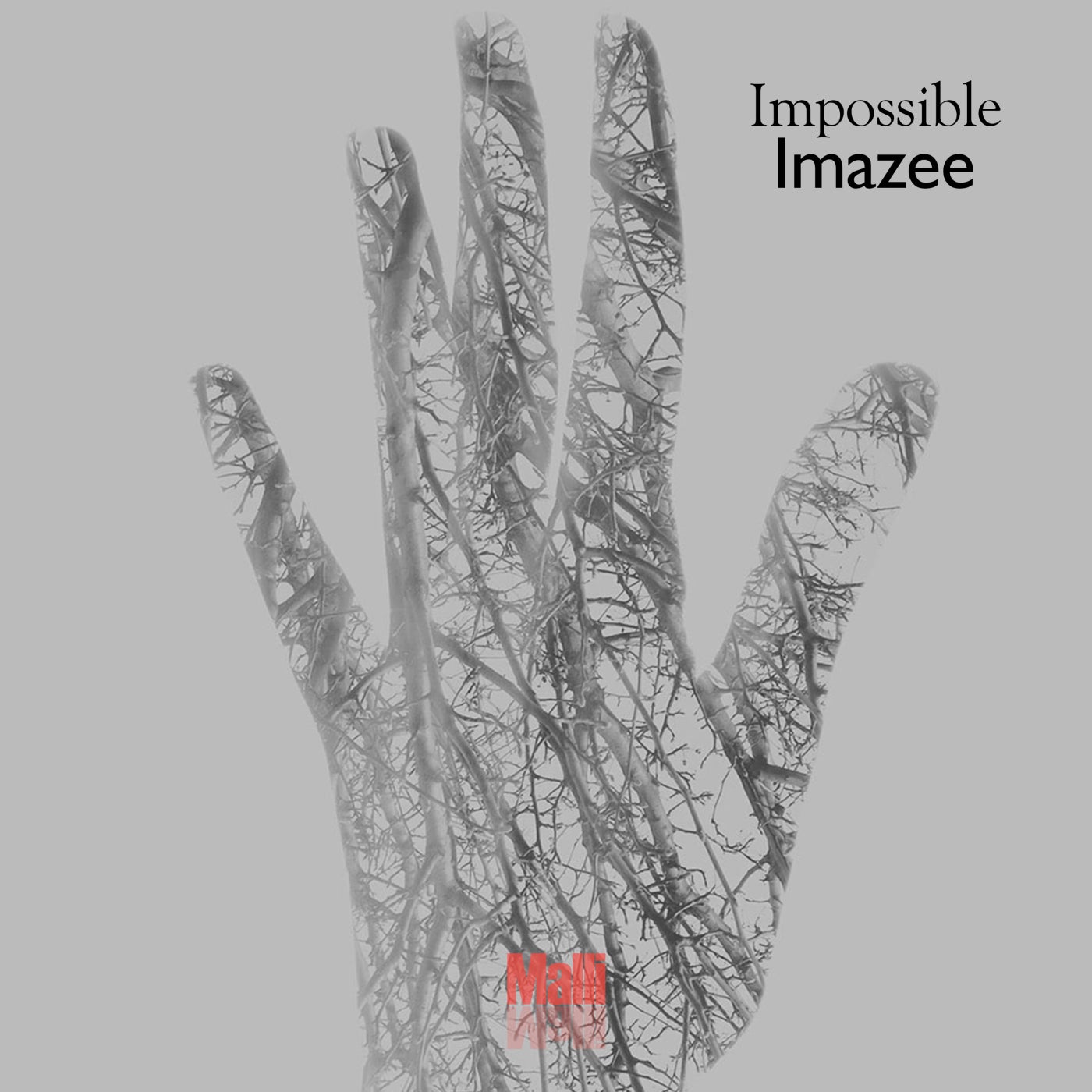 Impossible original mix