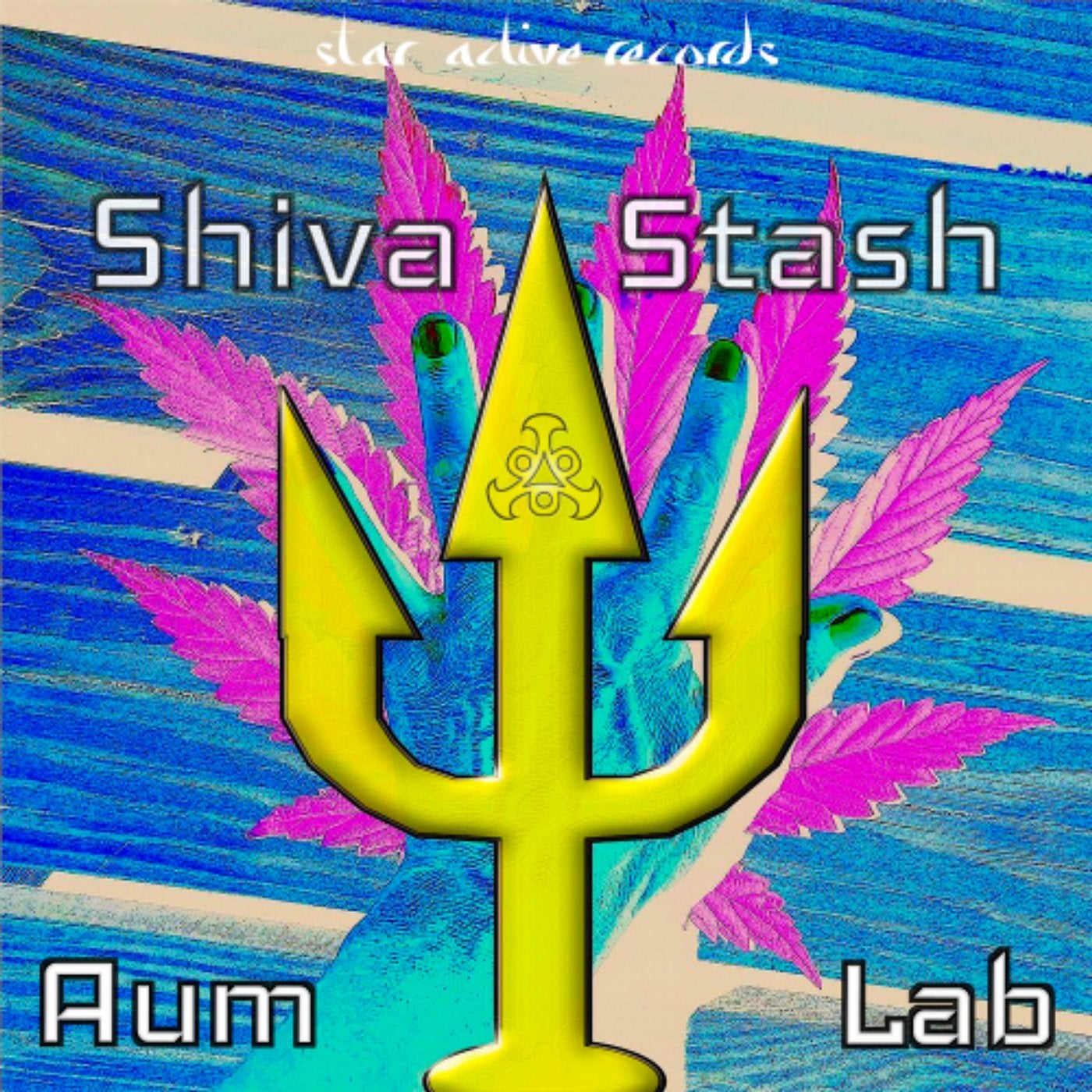 Shiva Stash