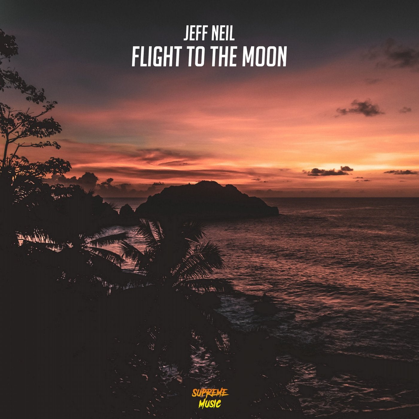 Flight to the Moon