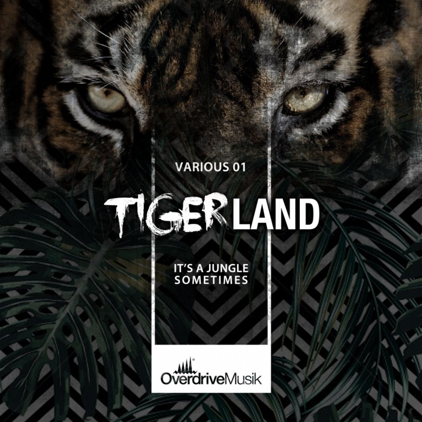 Tigerland 01