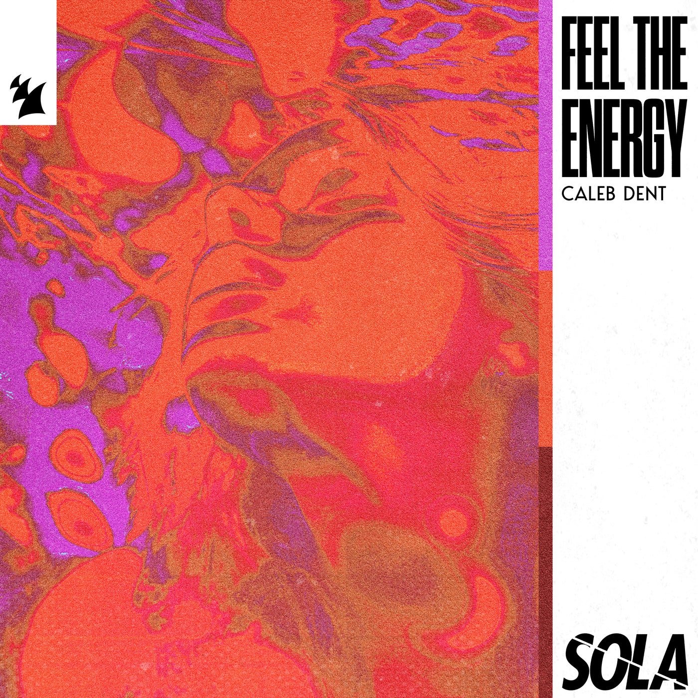 Feel The Energy