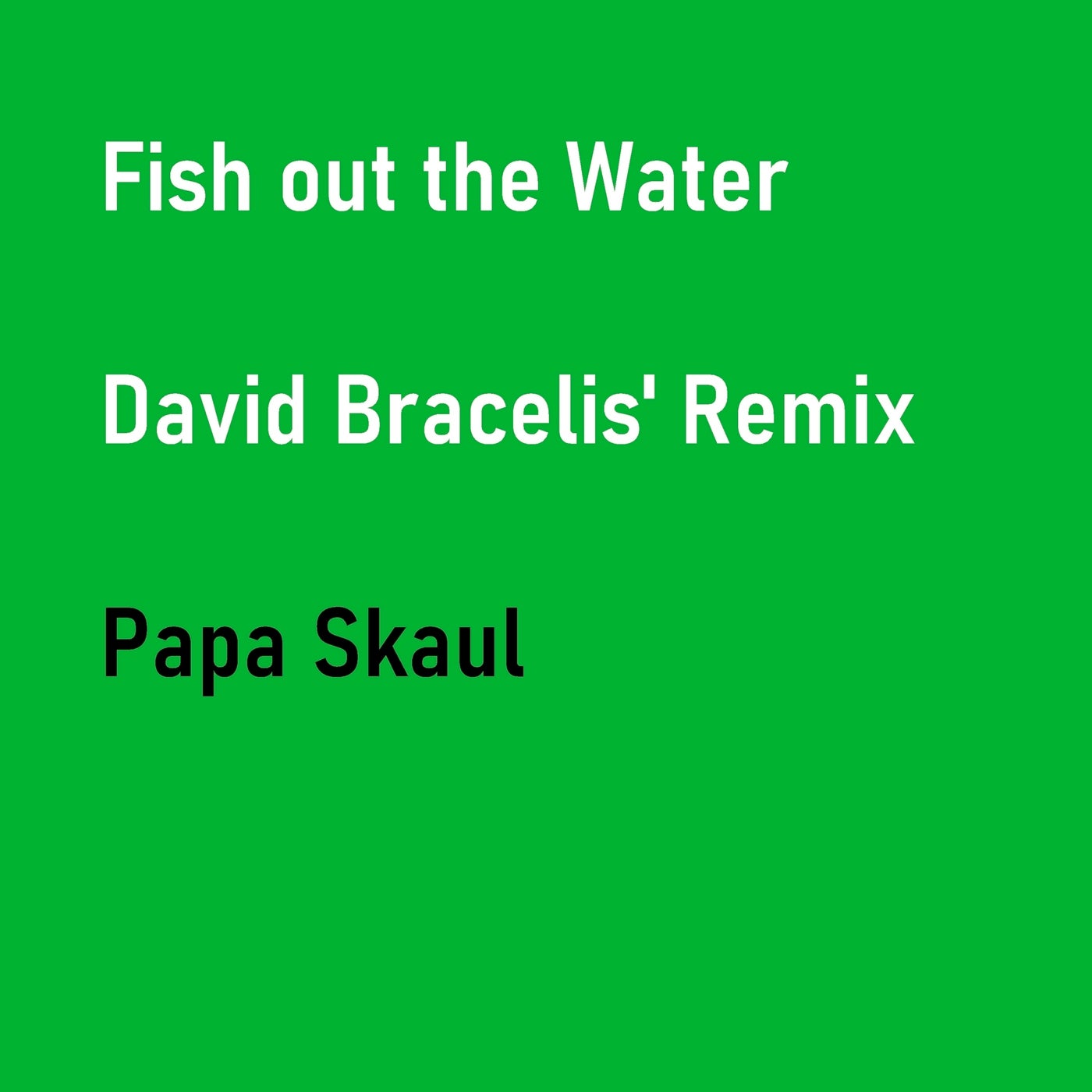 Fish out the Water (David Bracelis' Remix)