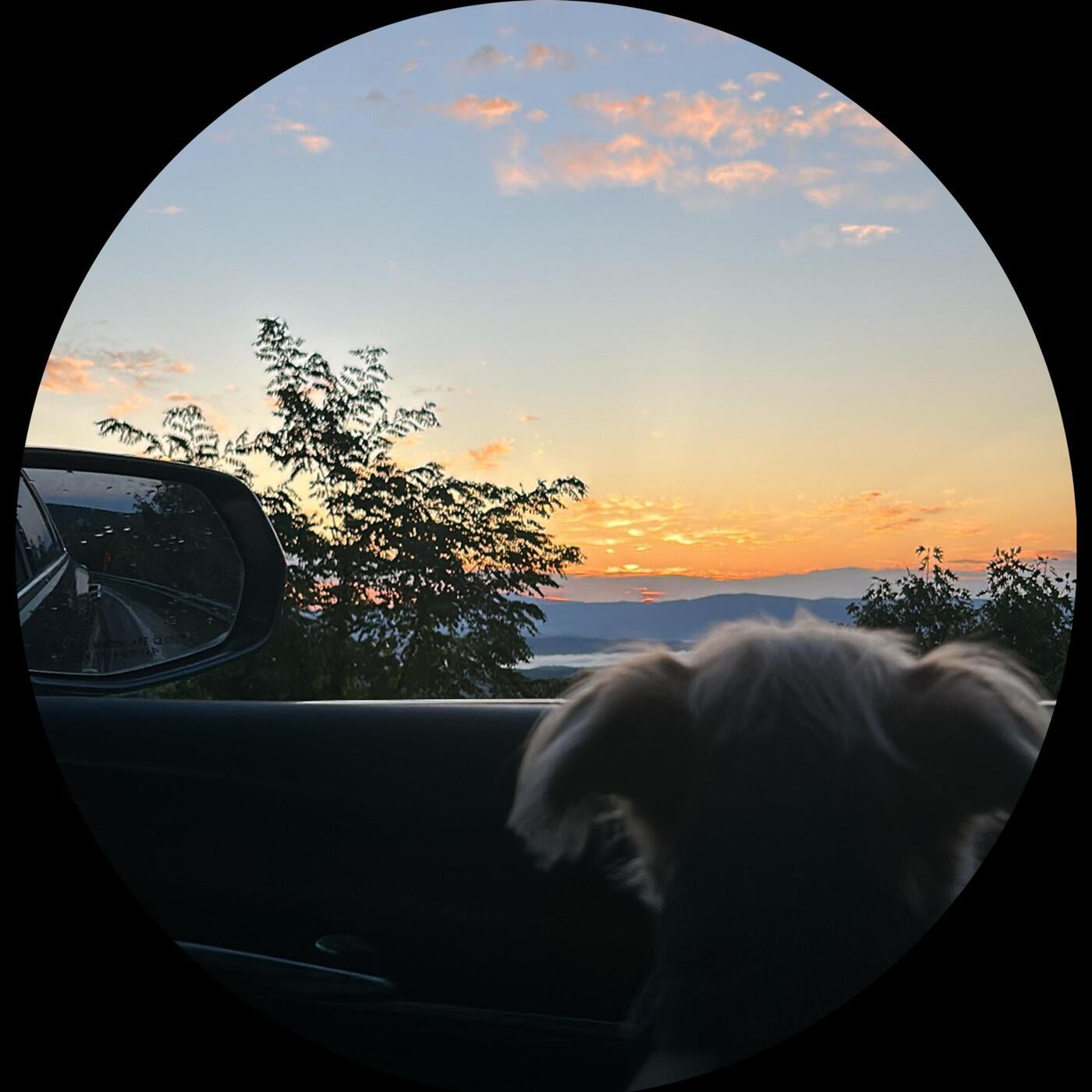 Golden Hour Reflectionz