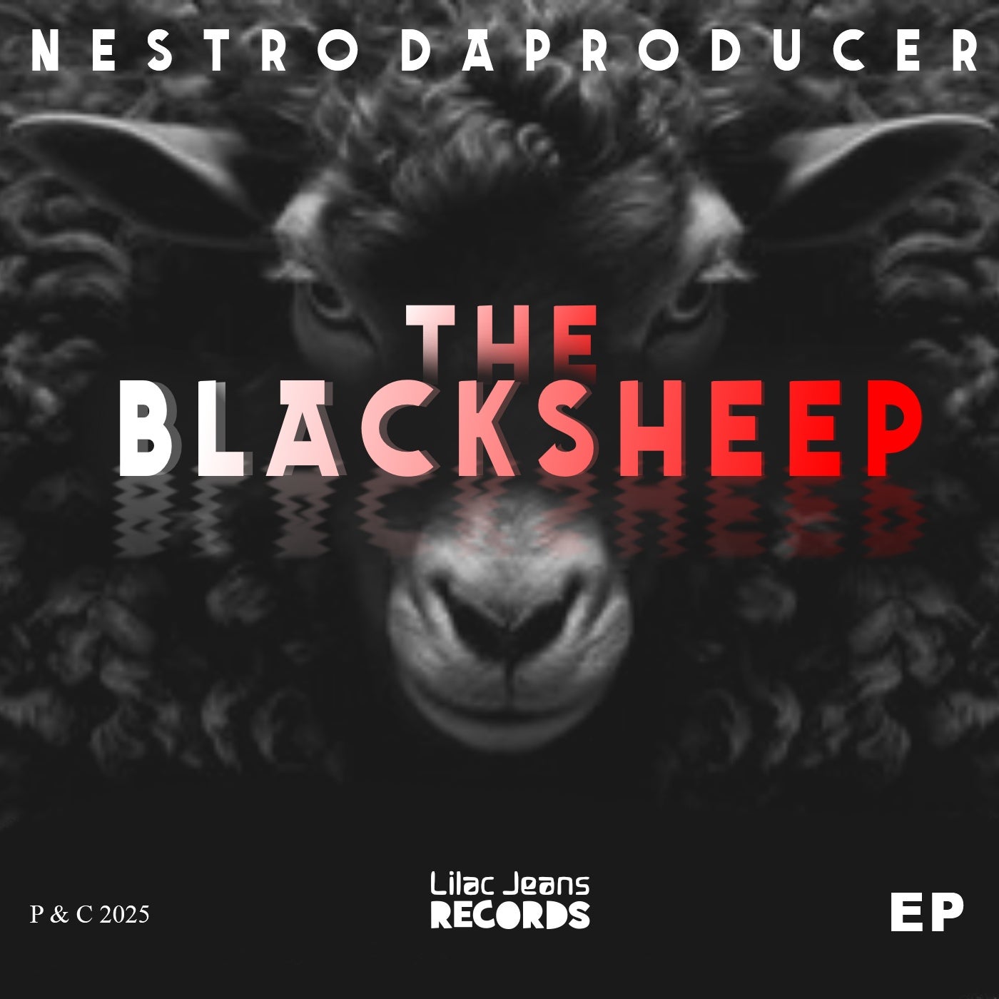 The Blacksheep