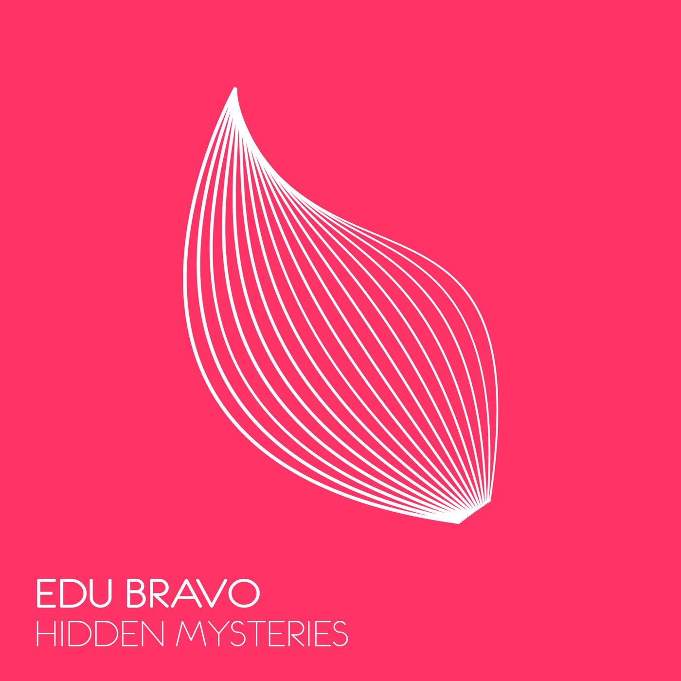 Hidden Mysteries