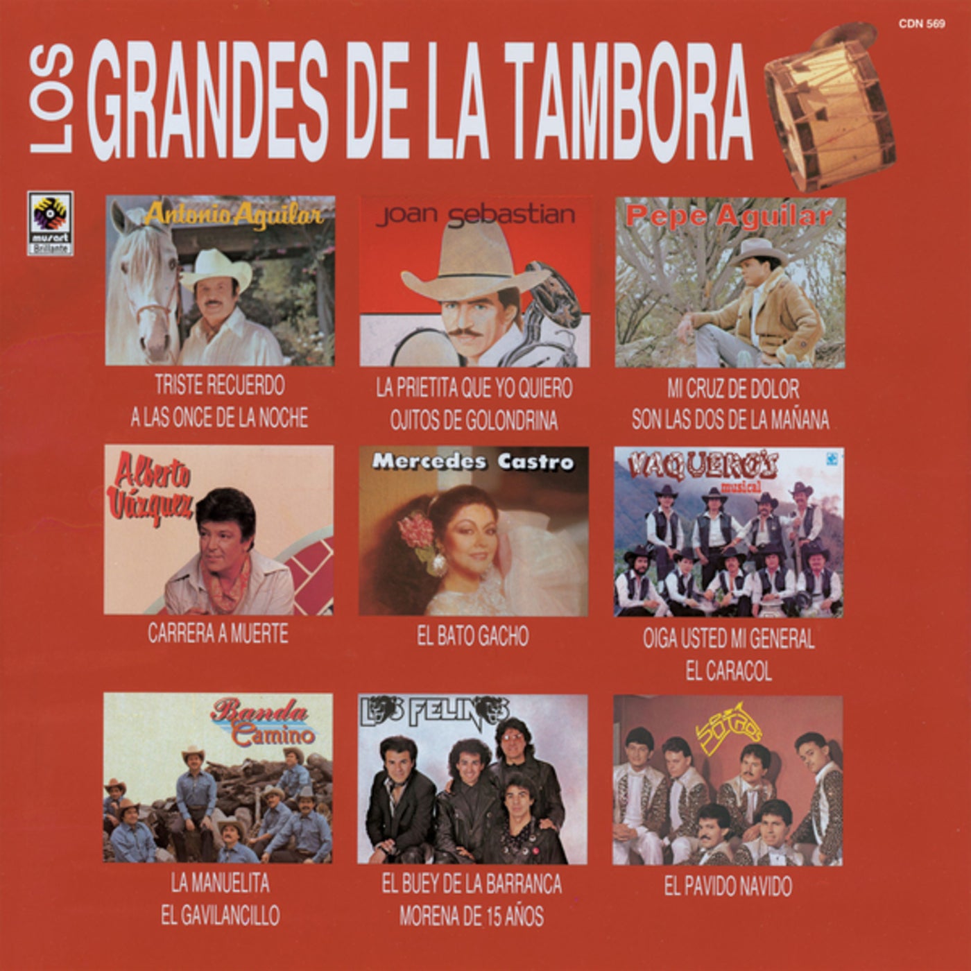 Grandes De La Tambora