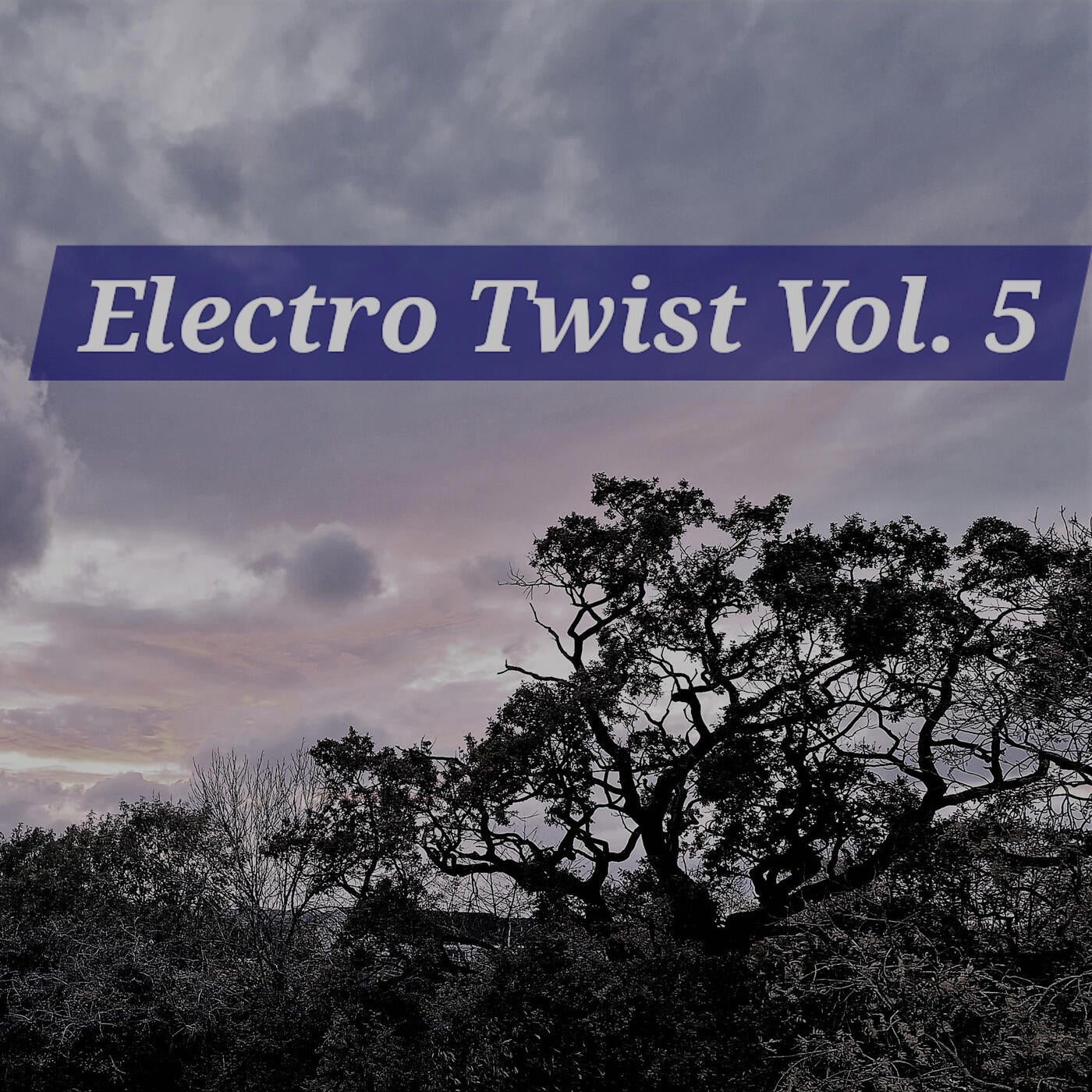 Electro Twist, Vol. 5