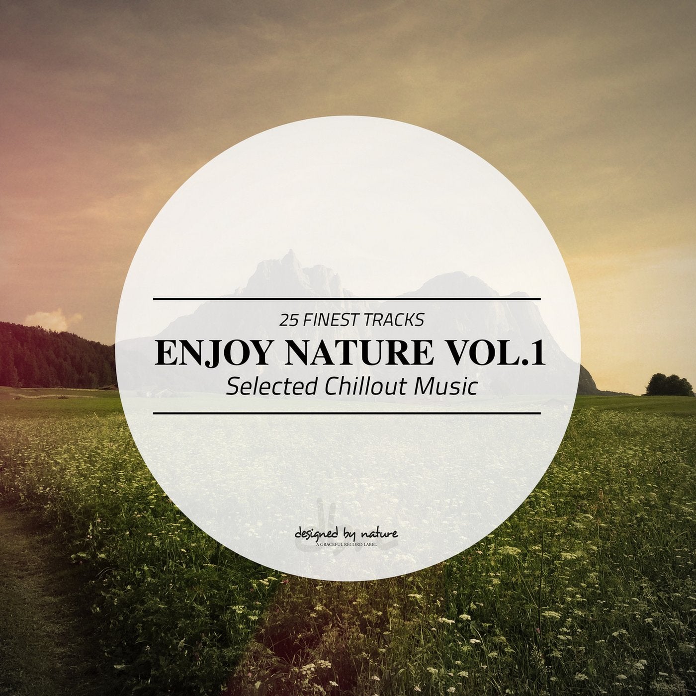 Natural vol 2. Чилаут музыка слушать. Энджой альбомы. Музыка Chillout. Deep & natural, Vol. 9.