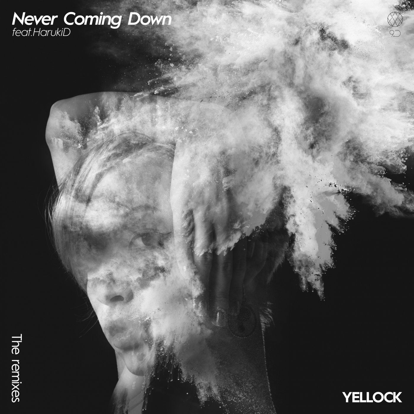 Never Coming Down (The Remixes)