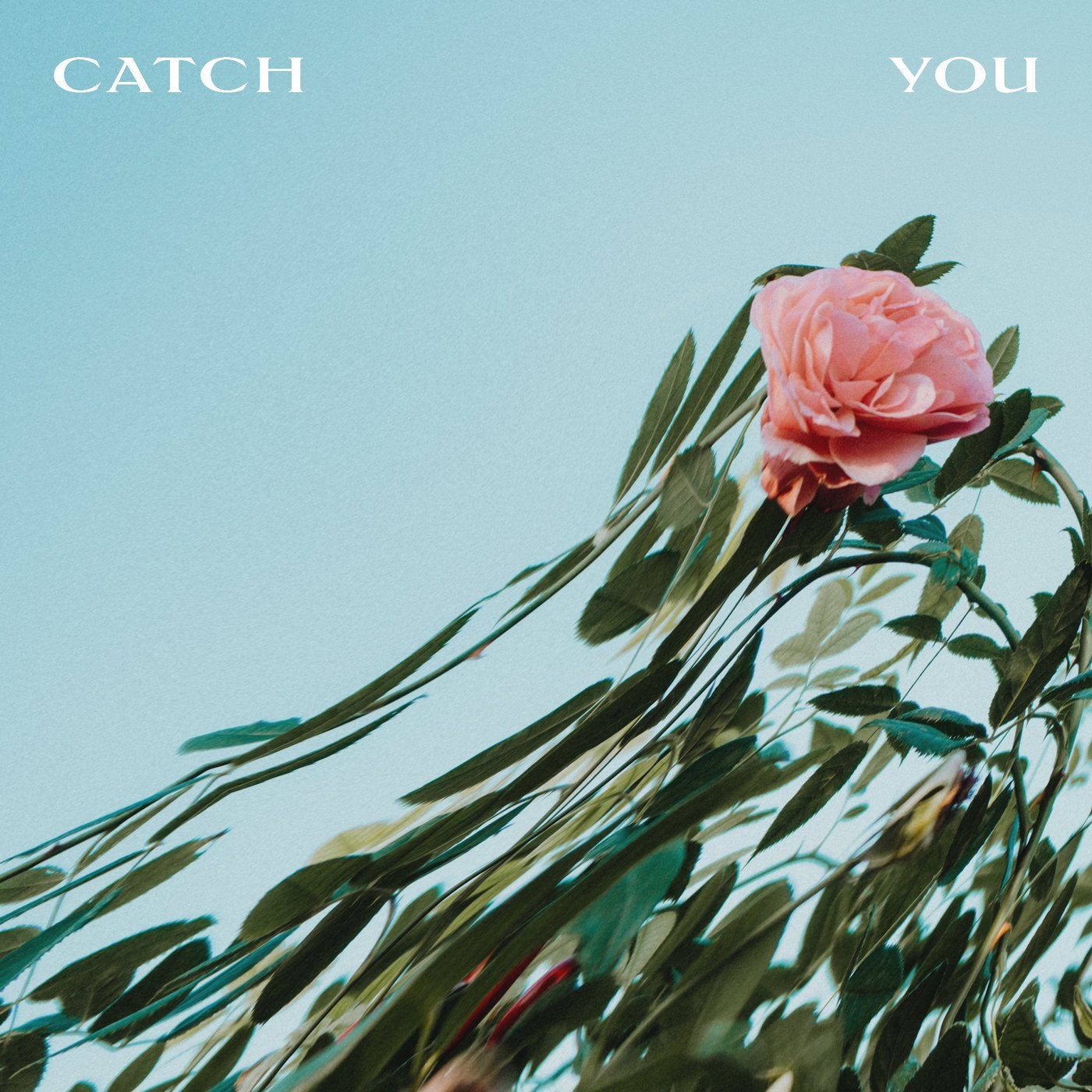 catch you