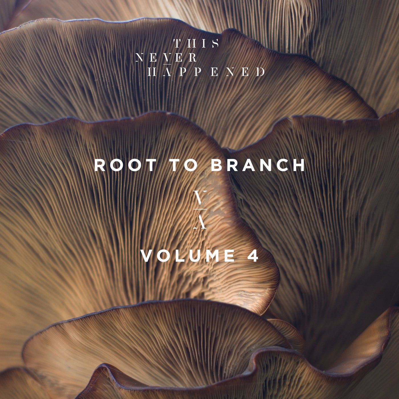 Root to Branch, Vol. 4